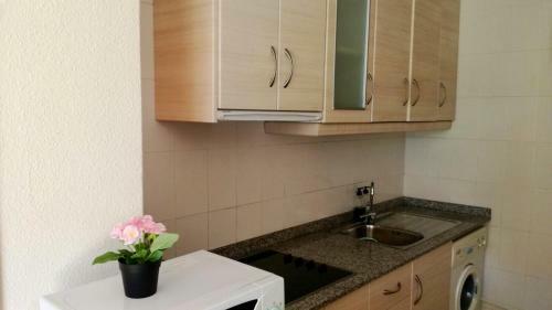Apartamento Residencial Pe�iscola