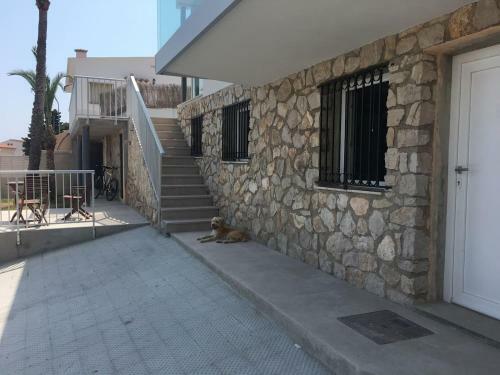 Apartamento Jamaica