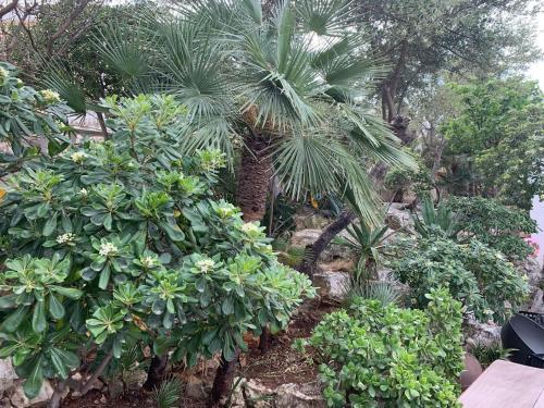 Apartamento Jamaica