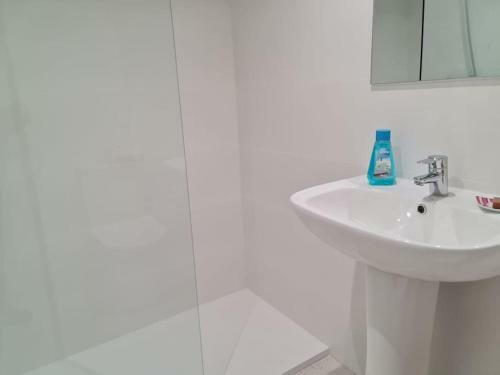 Apartamentos Reformados Pompeya I Y II