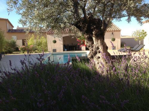Bed & Breakfast Mas Florylege