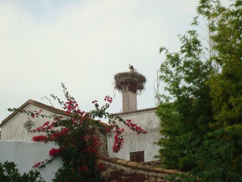 Apartamento Casa Claudia - Pool And Wifi