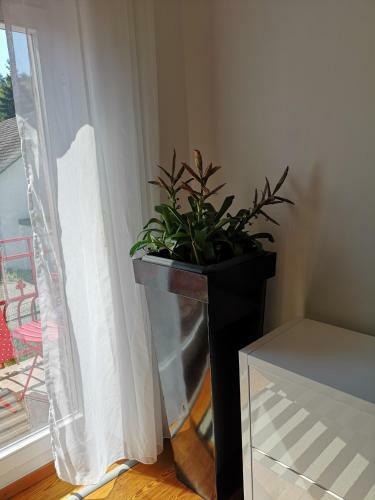 Apartamento Villa Monte