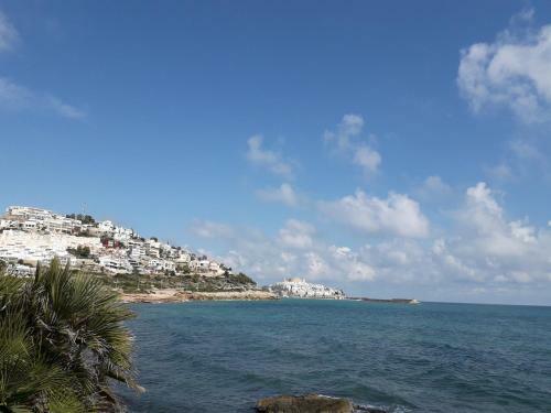 Bonitas Vistas