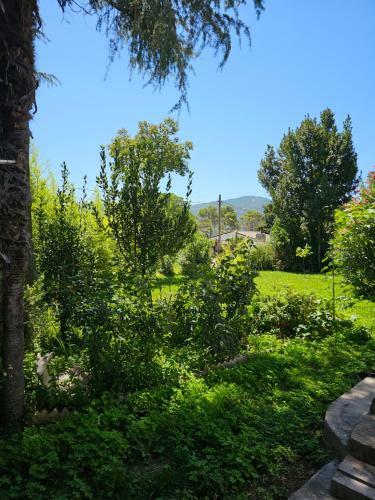 Hostal Las Jaras