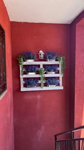 Apartamentos Praderas Pantano San Juan