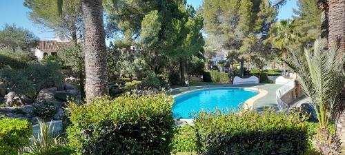 Apartamento Bungalow Le Petit Chat