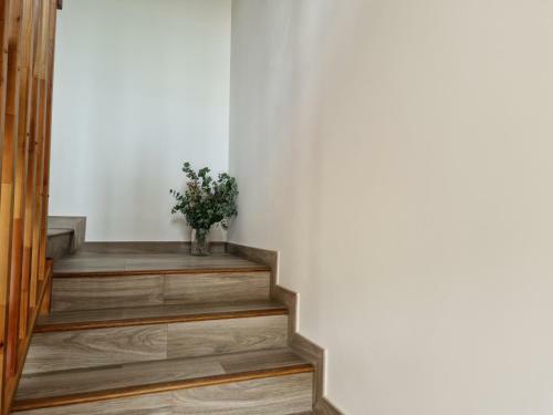Apartamentos Villa De Panes - La Plaza