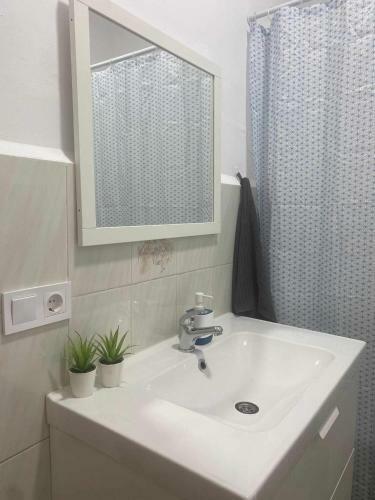 Apartamento Ayla Catedral