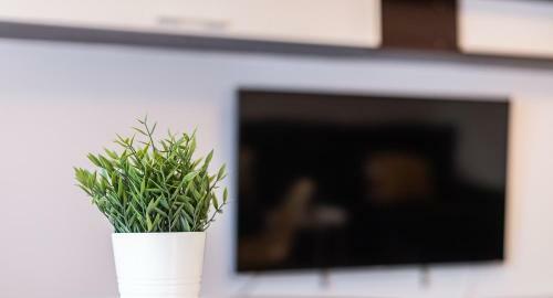 Adaptado Y C�modo Apartamento En Iturrama