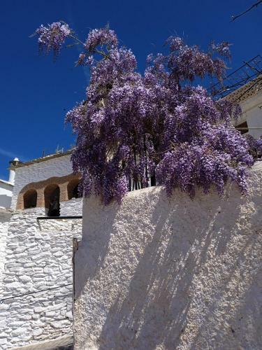 Casa Los Trillizos