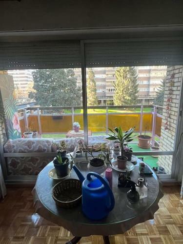 Apartamento Alojamiento San Ferm�n Dos Habitaciones
