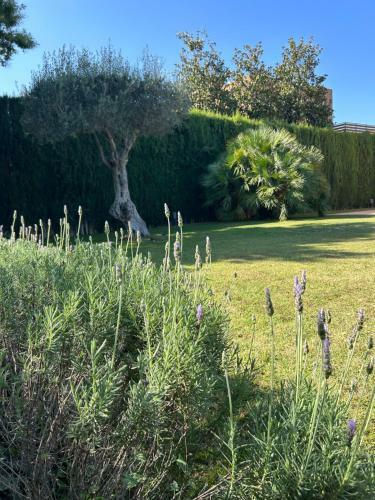 Villa Torrent Costa Brava, Con Piscina Privada!
