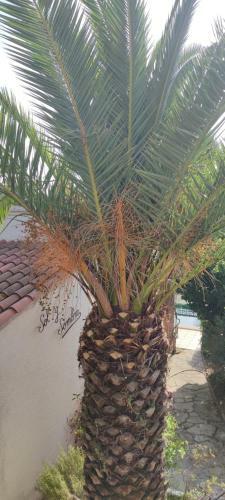 Chalet Sol Y Sombra