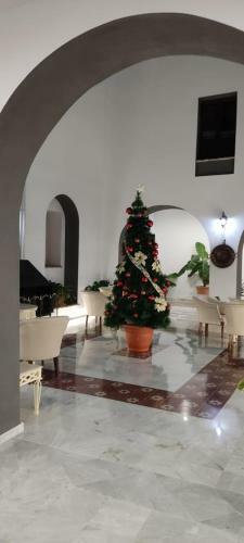Bed & Breakfast Casa De La Se�ora