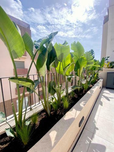 Apartamento Hotel-apartment With Big Terrace