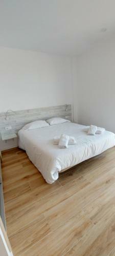 Apartamento Palma Centro