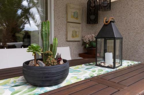Apartamento Alcam Tamariu