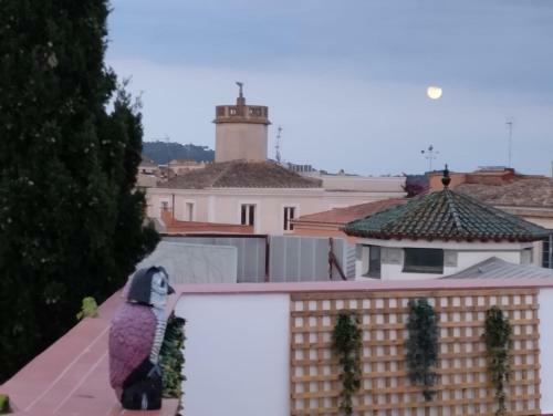 Apartaments L?arc