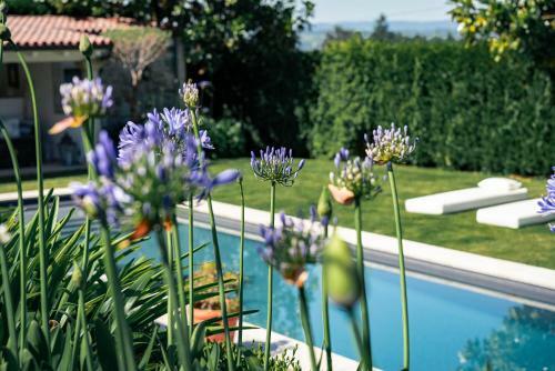 Villa Los Magnolios
