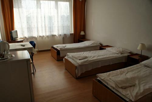 Hostal Scsk Brze?no