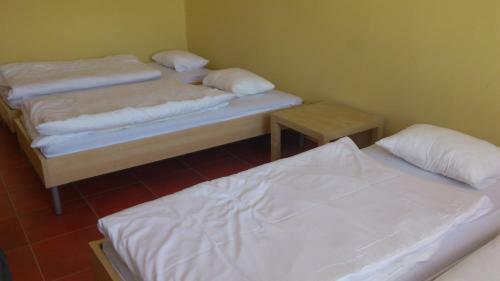 Hostal Ubytovac� Are�l Rouchovany