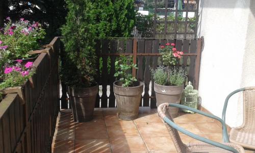 Apartamenty Algador