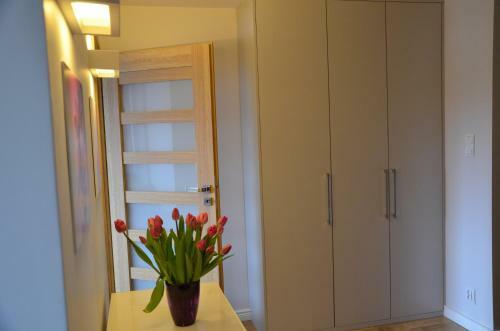 Apartament Orchidea