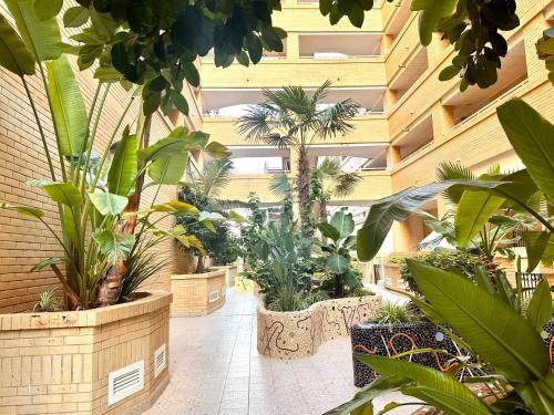 Apartamento Oropesa
