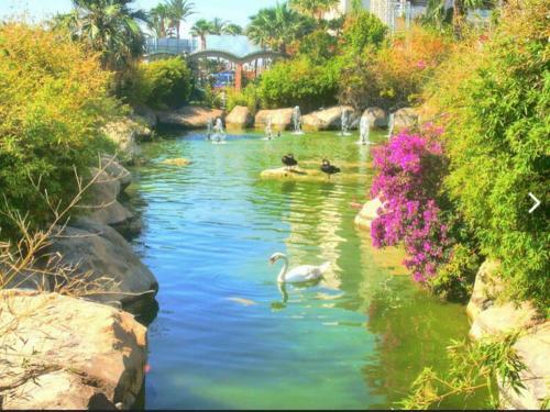 Apartamento Marina D?or- 2 Piscinas-wifi-200mt De La Playa