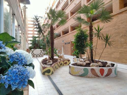 Apartamento Acv - Torremar-2� Linea Planta 5 Frontal 3