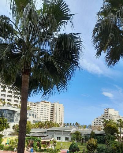 Apartamento Franlau Playa