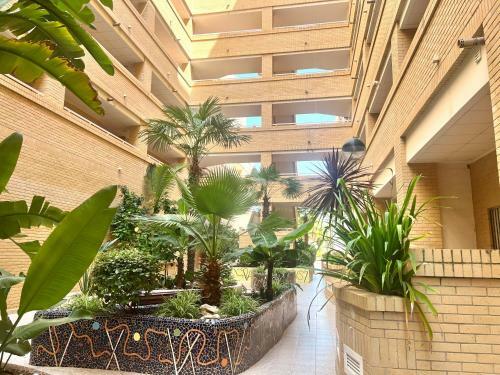 Apartamentos Deluxe Marina Dor