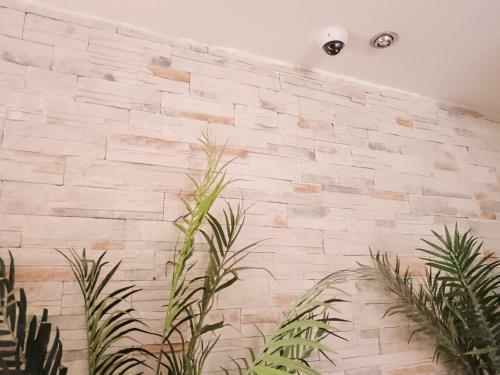 Apartamento Ayf Centrico Con Gimnasio En Magic World