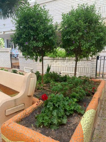 Apartamento Marina Tr�bol Playa