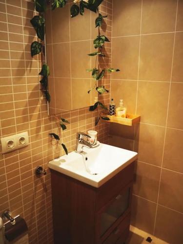 Apartamento La Panor�mica