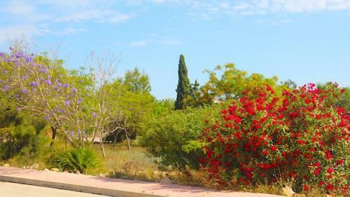 Apartamento Oasis Holiday House