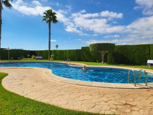 Apartamento One Palm Tree, Orihuela Costa