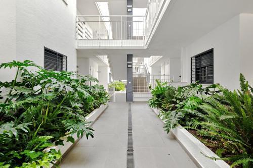 Apartament Lime & Lemon