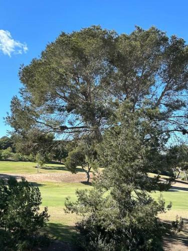 Apartamento Appart Villamart�n Plaza Golf