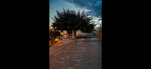 Beautiful 2-bed Apartment In Orihuela
