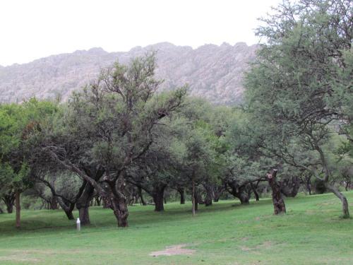 Caba�as De Monta�a San Miguel