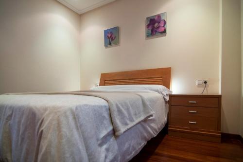 Apartamento Piso C�ntrico Con Garaje