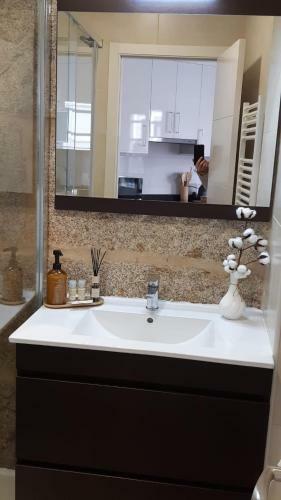 Apartamentos Sarabia Loft