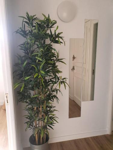 Apartamento Casco Viejo