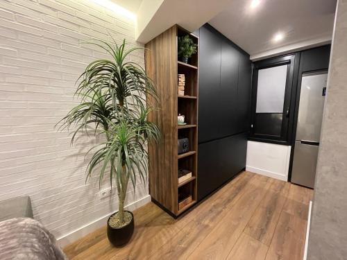 Apartamento C&g �tico C�ntrico Con Terraza