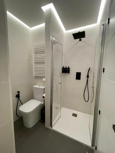 Apartamento C&g �tico C�ntrico Con Terraza