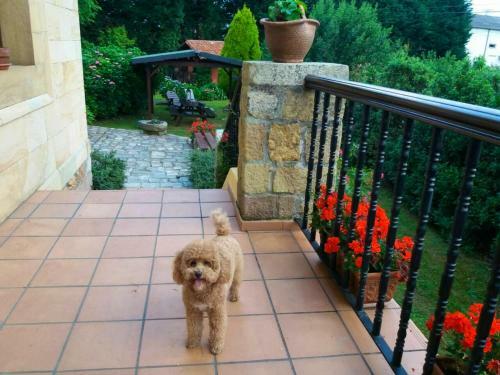 2 Bedrooms Chalet With Terrace And Wifi At Orena