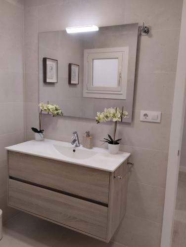 Apartamento Piso Centro - Concordia