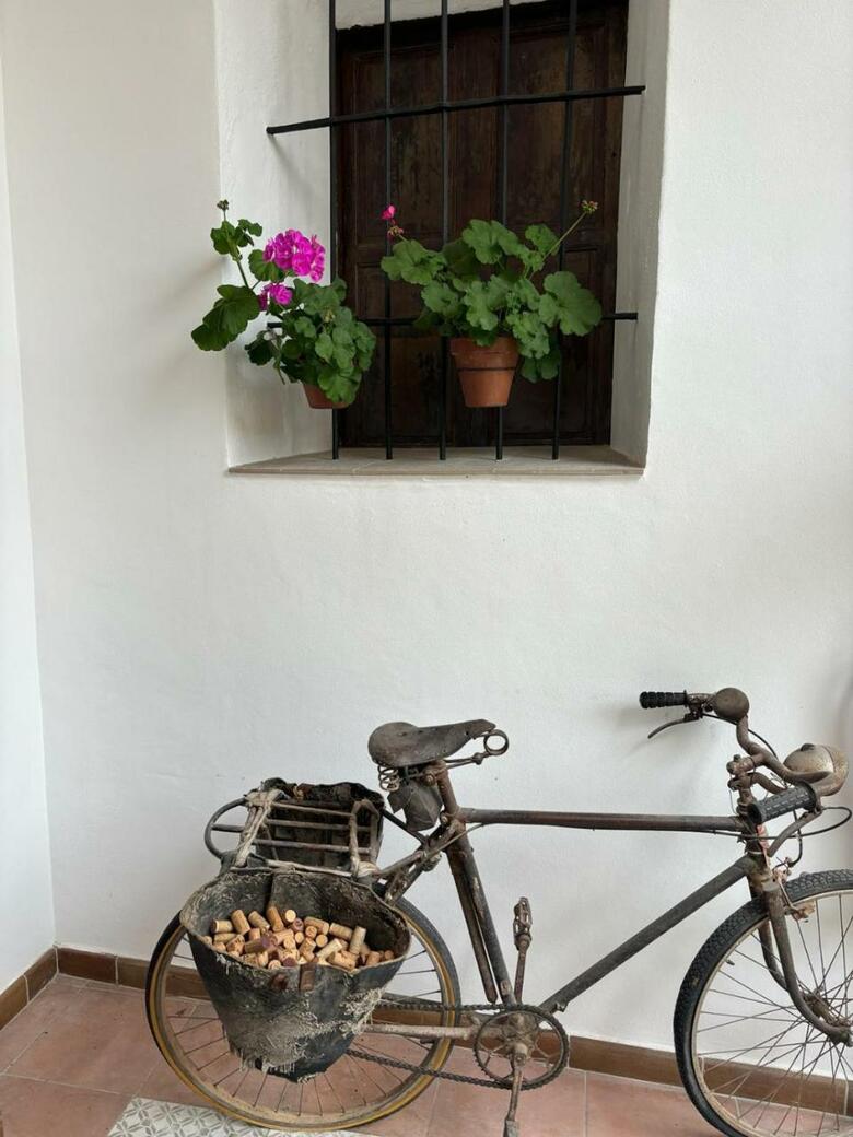 Hotel Art Boutique La Casona de Las Flores